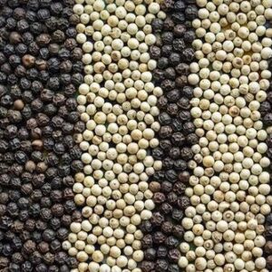 Black and White Pepper For Sale