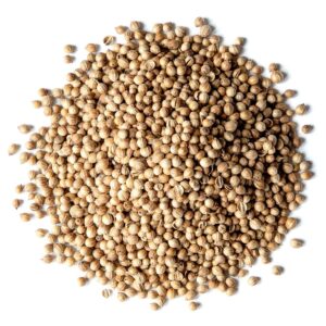 Buy Coriander seeds in bulk