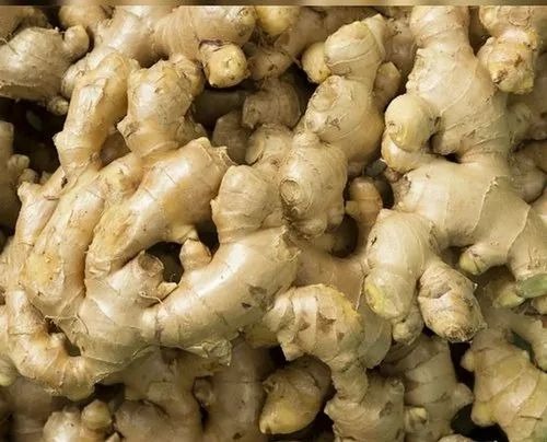 Fresh Ginger For Sale