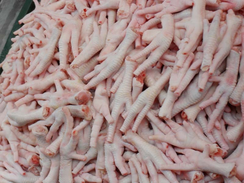 Halal Chicken Feet For Sale