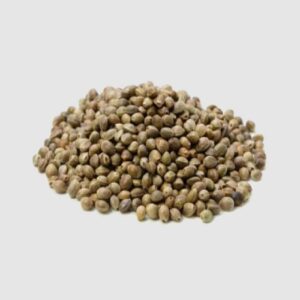 Buy Hemp Seeds Supplies in Bulk