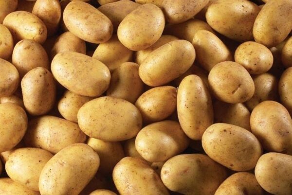 Irish Potatoes For Sale