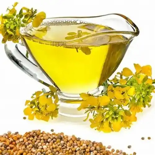 Refined Rapeseed Oil For Sale