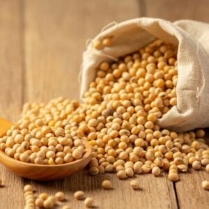 Soybeans For Sale