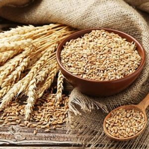 Wheat Grain For Sale