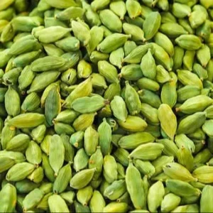 Buy Wholesale Cardamom in Bulk