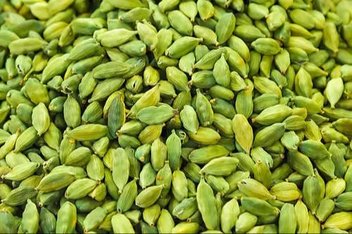 Buy Wholesale Cardamom in Bulk