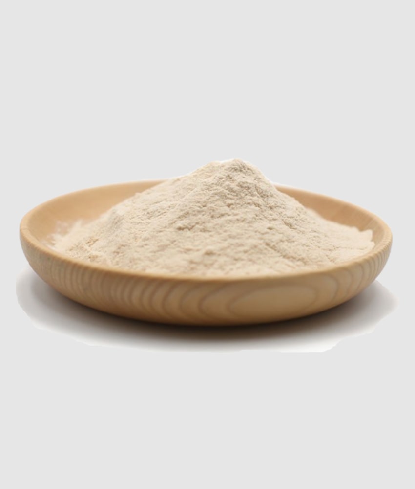 Buy Garlic Powder in Bulk