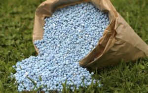 Inorganic Fertilizers