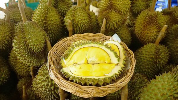 durian